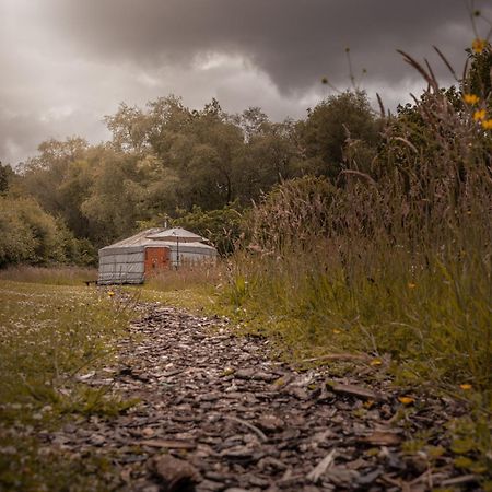 Gilfach Gower Farm Luxury Yurt With Hot Tub Hotell Ammanford Eksteriør bilde